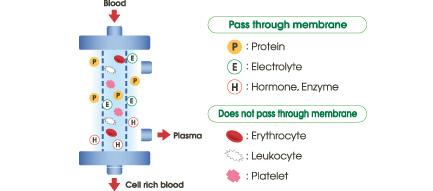 tpe醫學上是什么意思